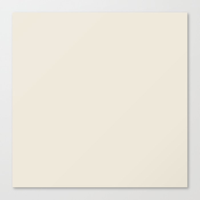 Edelweiss White Canvas Print