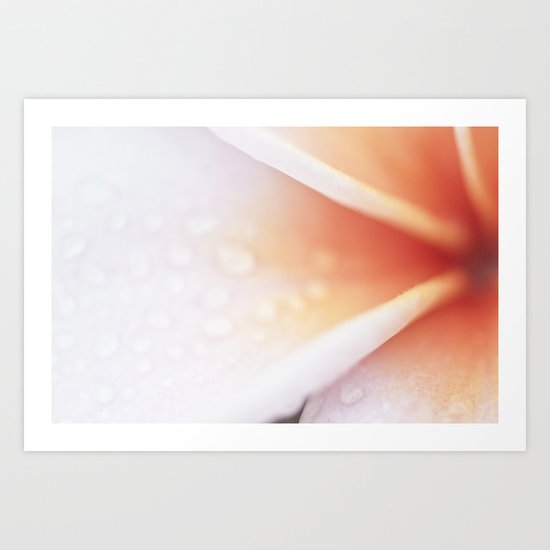 Plumeria Flower Art Print