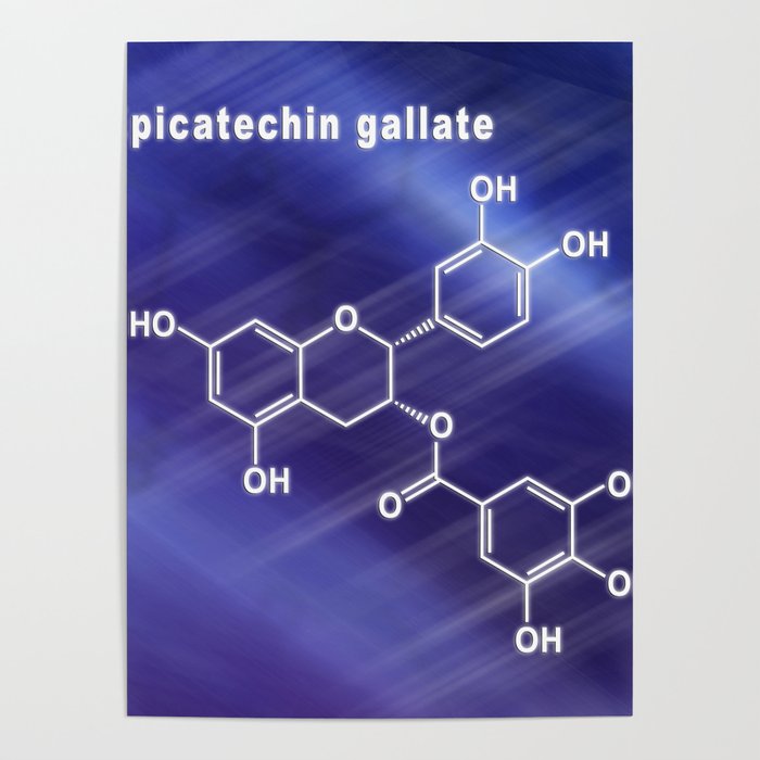 Epicatechin-gallate, Structural chemical formula Poster