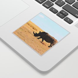 South Africa Photography - Rhino At The Dry Empty Savannah Sticker