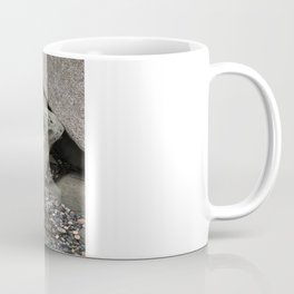 Erosion Coffee Mug