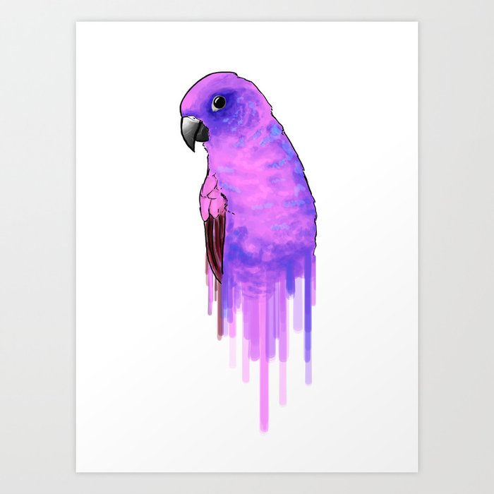 purple parakeet