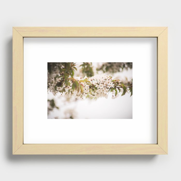 Blooming tree with white flowers close up Recessed Framed Print