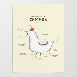 Anatomy of a Chicken Poster