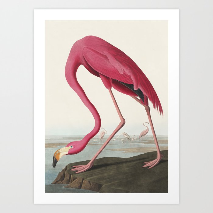 Pink Flamingo Vintage Art Art Print