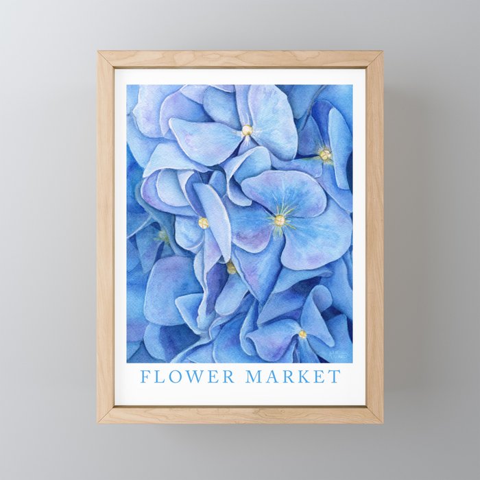 Blue Hydrangea Watercolor - Flower Market Poster Framed Mini Art Print
