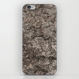 Dry soil iPhone Skin
