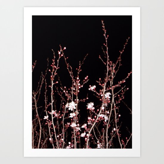 Winter night flowers Art Print
