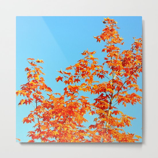 Tranquility Metal Print