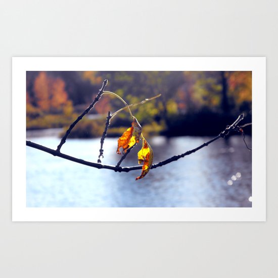 Last to fall Art Print