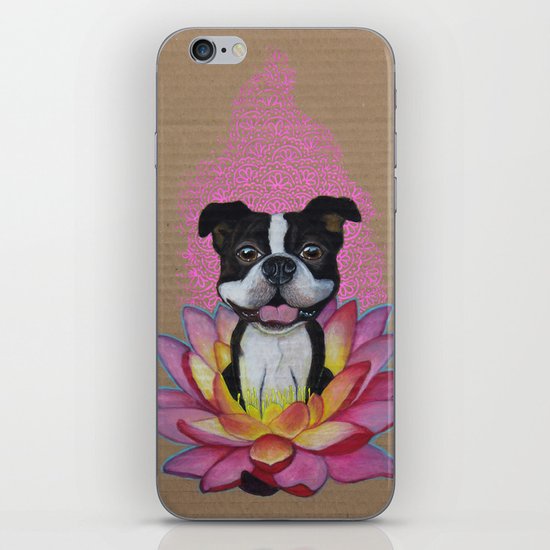 Zen Boston Terrier iPhone & iPod Skin