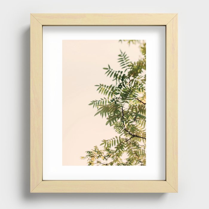 New Growth Recessed Framed Print