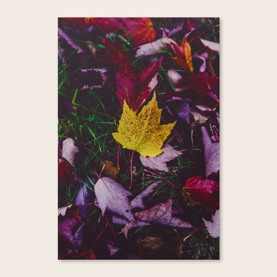 Autumnal Canvas Print
