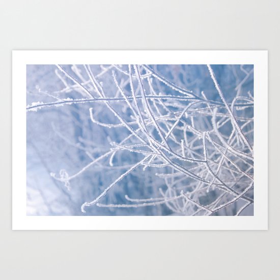 winter time Art Print