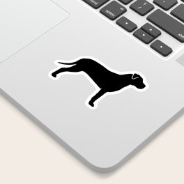 society6