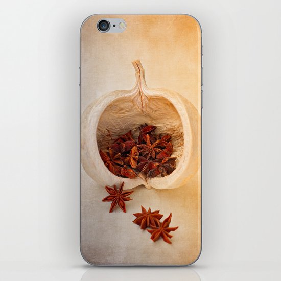STAR ANISE iPhone & iPod Skin