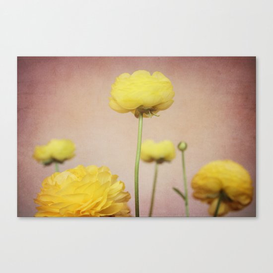 Daydreaming in Yellow Canvas Print