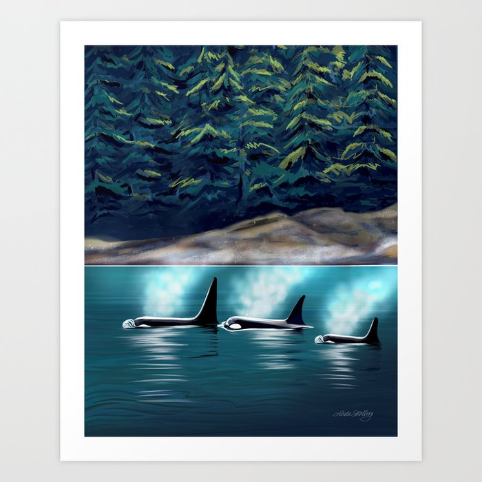 Orcas in the wild Art Print
