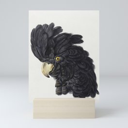 Head of a Cockatoo Mini Art Print