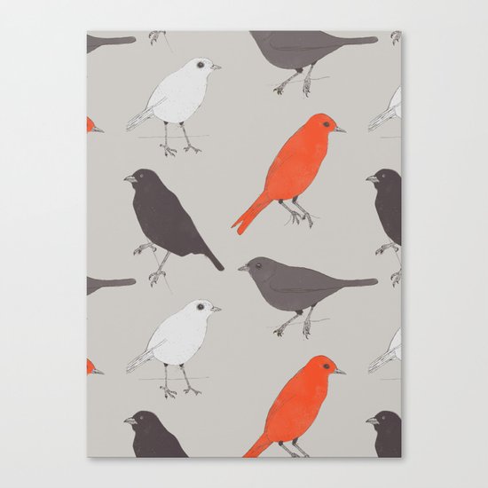 Little Birds Canvas Print