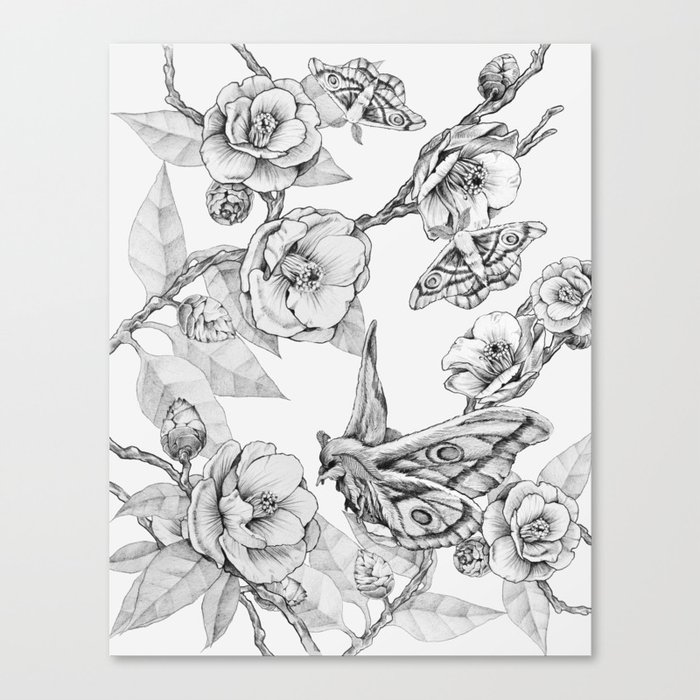 Moths & Camellias Canvas Print by Bexelbee | Society6