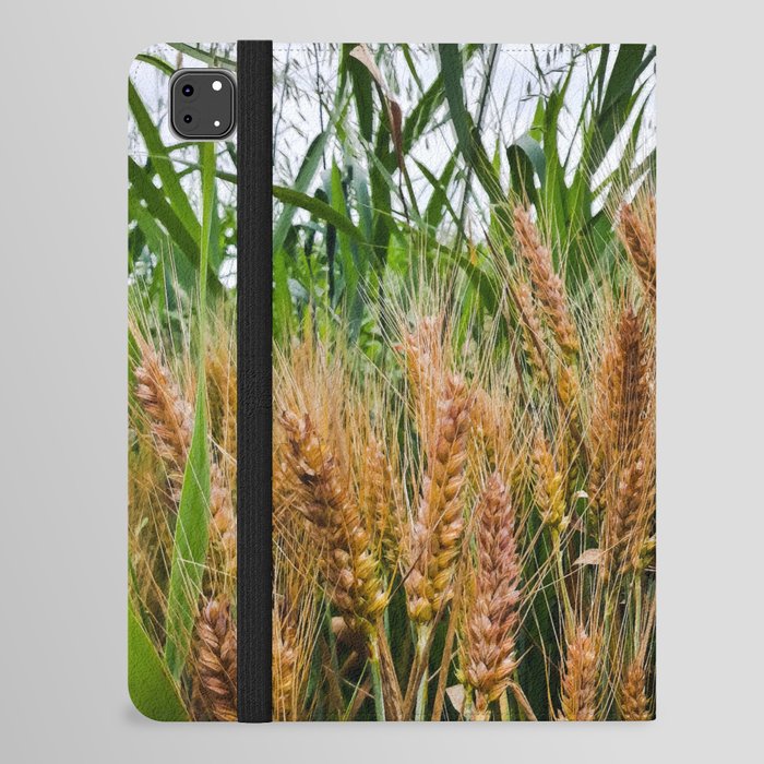 Ripe wheat ears with green cattail agriculture photography iPad Folio Case