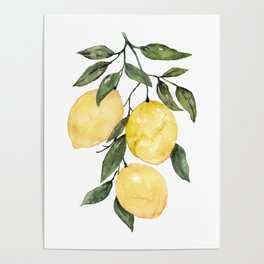 Lemon on Branch Watercolor no.2 Poster