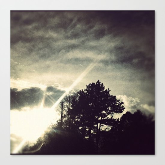 Sun setting threw the trees. Canvas Print