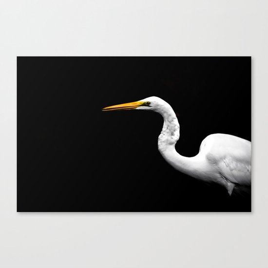 Heron#1 Canvas Print