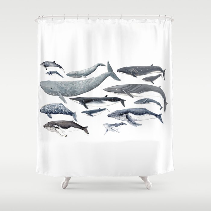 Whale diversity Shower Curtain