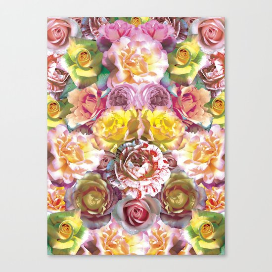 Rose Bloom Canvas Print