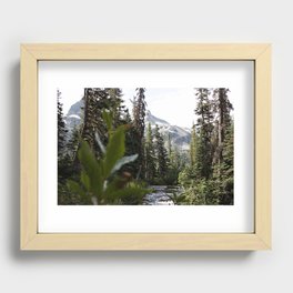 Into the Wild while in Whistler Canada Recessed Framed Print