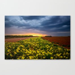 Yellow Flower Road - Path of Wildflowers Lead Into Texas Sunset on Stormy Evening Canvas Print