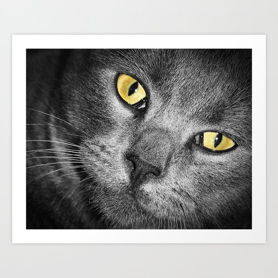 Silver Cat Art Print