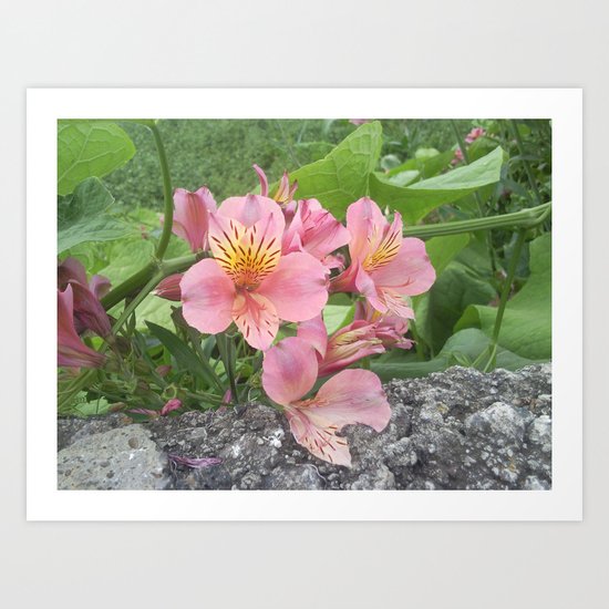 small flowers of tenerife Art Print