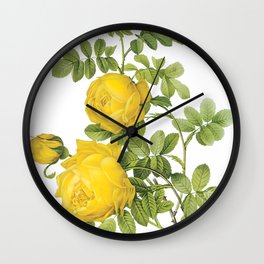 Botanical Print, Yellow Roses, Rosa Sulfurea Wall Clock | Drawing, Rosasulfurea, Illustration, Other, Yellowroses, Botanicalprint 