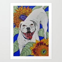 American Bulldog with Sunflowers Art Print