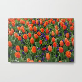 Tulip Field 2 Metal Print | Spring, Garden, Colorfulflowers, Flowers, Tulipfield, Purpleflowers, Nature, Field, Colorful, Easter 