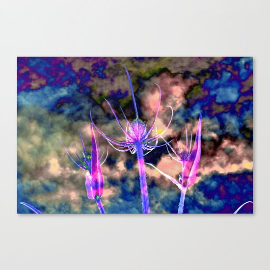 Floral Cloud Drama Canvas Print