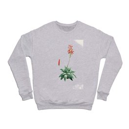 Aloe Succulent Illustration Crewneck Sweatshirt