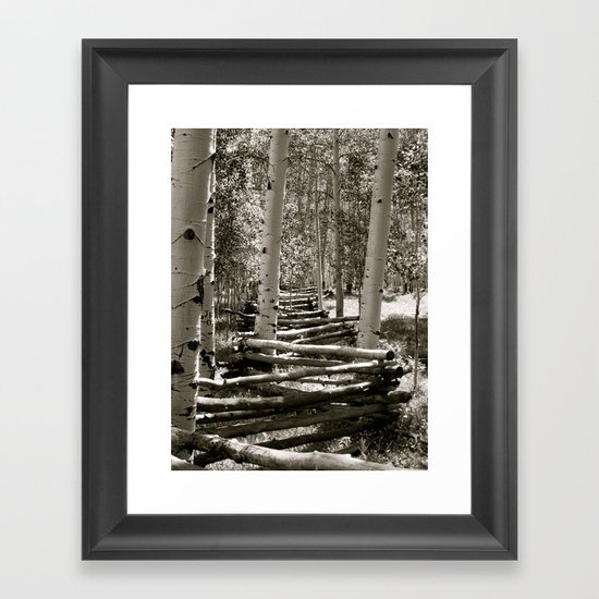 Fencing the Trees B/W Framed Art Print