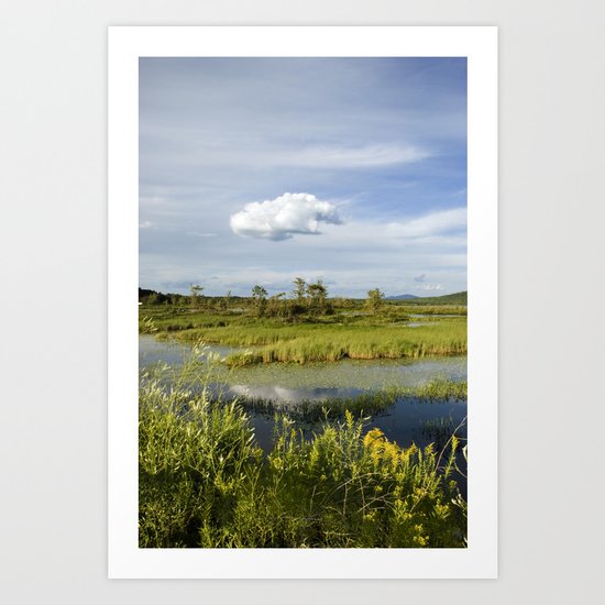 Just Hanging Around Art Print
