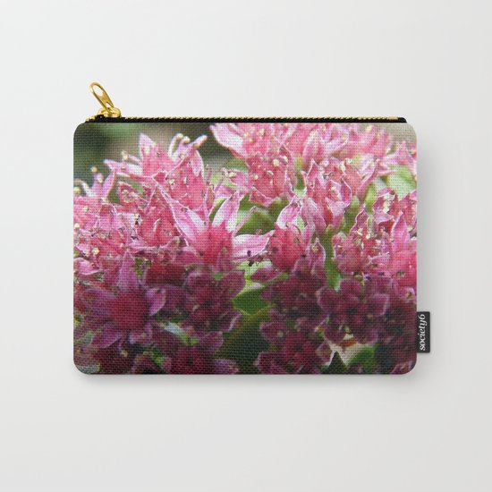Sedum Flowers and the Ant Carry-All Pouch