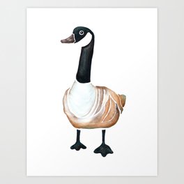Canadian Goose Art Print