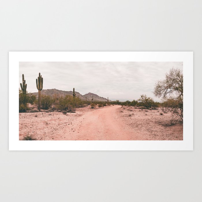 Desert Trail Art Print