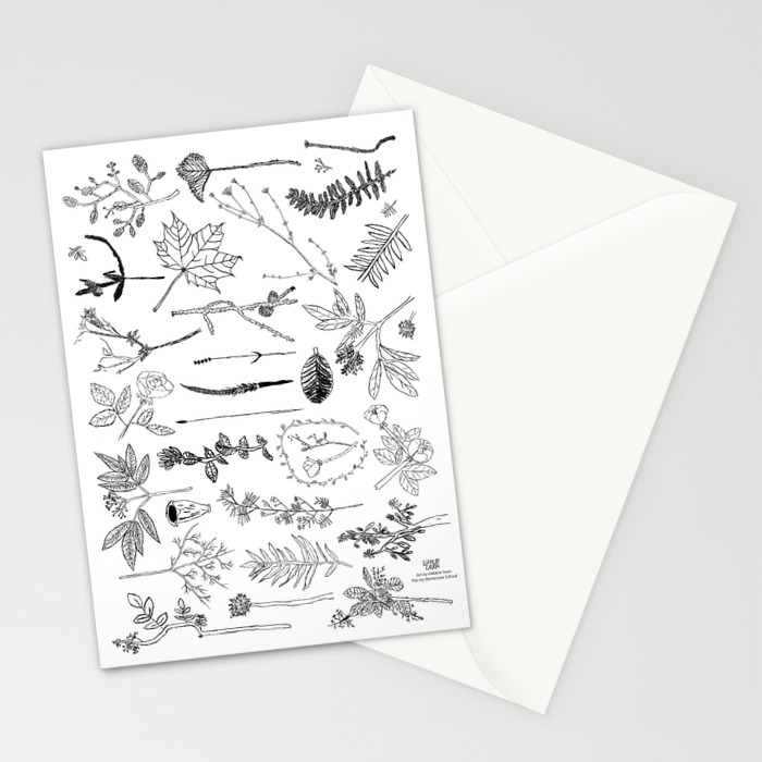 Botanical Drawings By Young School Kids Artists Profits Are