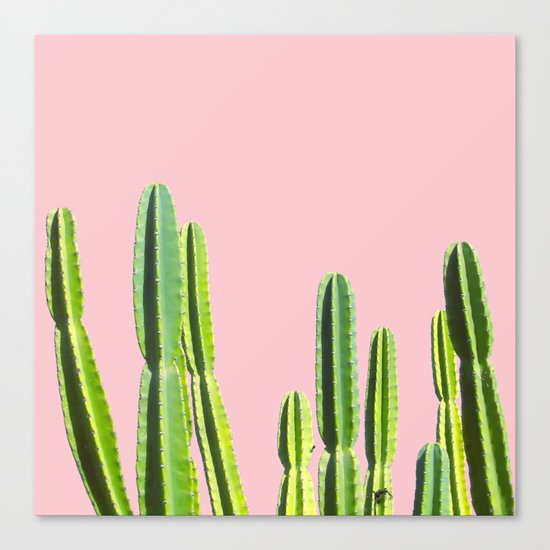 Cactus Canvas Print