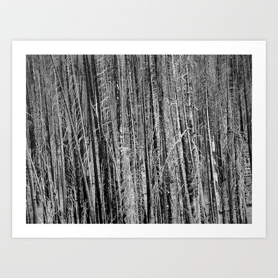Toothpicks Art Print