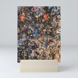 Coastal Texture | Tide Pool Wildlife | PNW Photography Mini Art Print