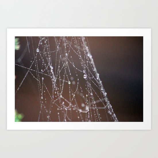 Morning Dew and Spider Web Art Print